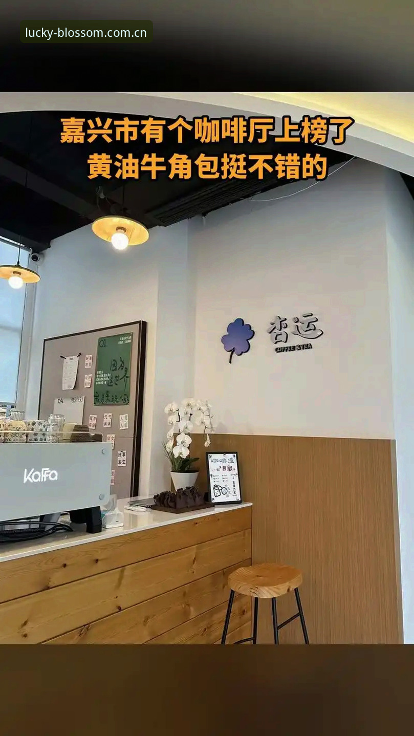杏运平台官网2026全新升级：最新杏运平台电脑版功能实测与行业分析